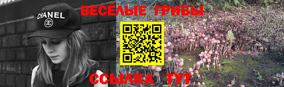 МЕФ кристаллы  ГАШИШ  МДМА  COCAIN  Alpha-PVP СОЛЬ кристаллы  Вход с VPN  ГАШИШ  Донской  Конопля 
